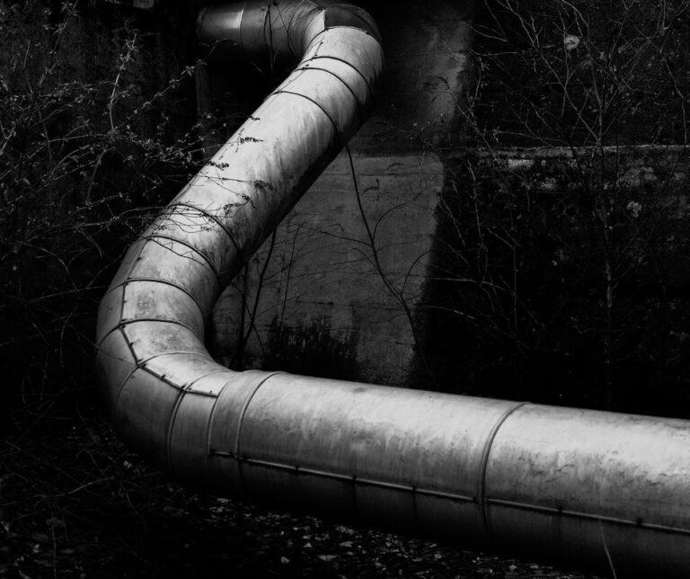 Large industrial pipe winding through overgrown foliage